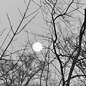 Meet your Posher, Helen